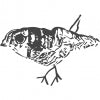 ATELIER VRAI logo