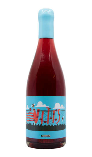 Messorem Vitis Riparia (2025)