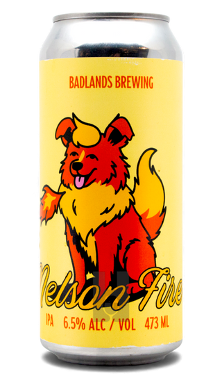 Badlands Nelson Fire