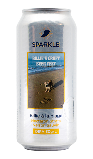 Sparkle ✨ Billie à La Plage V2 (2026)