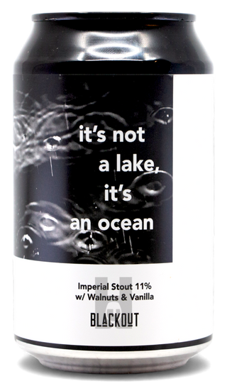 Blackout It's Not A Lake, It's An Ocean