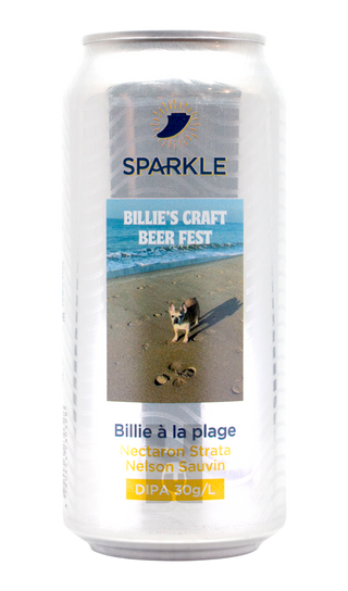 Sparkle Billie à La Plage