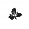 Trillium Brewing Company logo